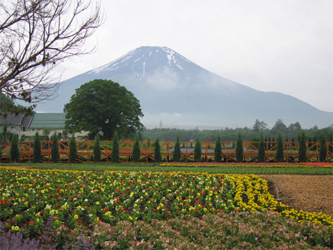 2006/06/24の写真