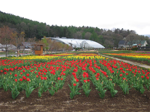 2006/05/08の写真