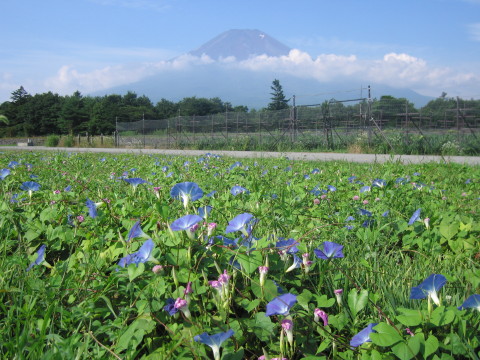 2008/08/08の写真