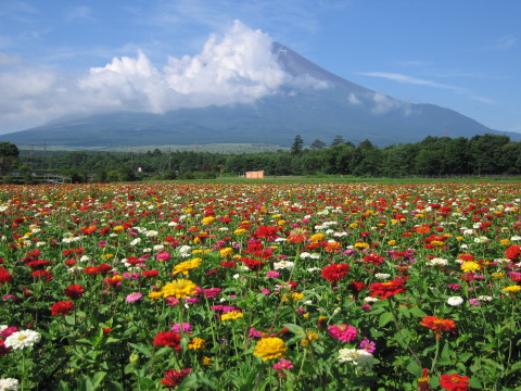 2008/08/14の写真