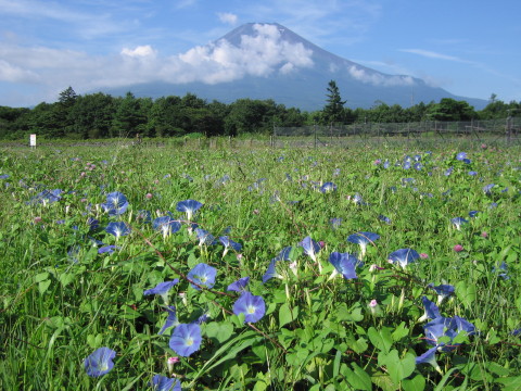 2008/08/14の写真