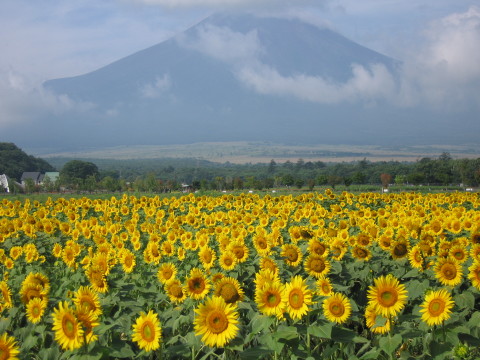 2008/08/19の写真