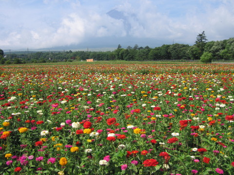 2008/08/19の写真