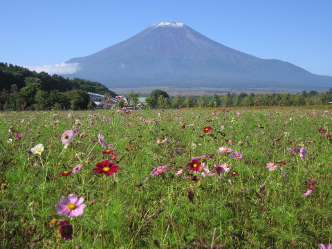 2008/10/02の写真