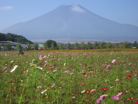 2008/10/04の写真