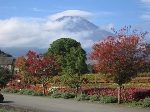 2008/10/10の写真