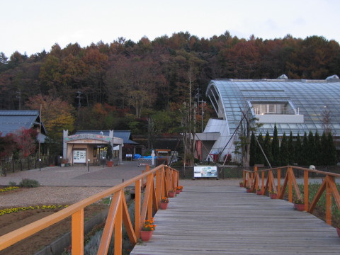 2008/11/05の写真