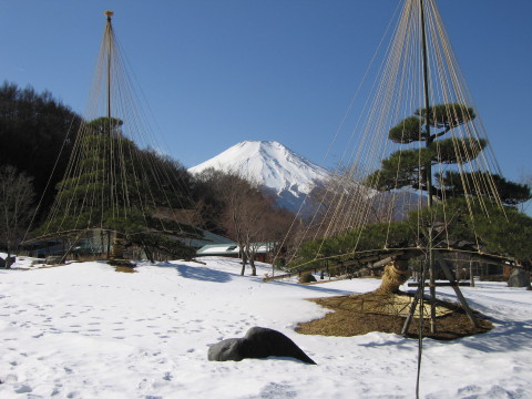 2009/01/29の写真