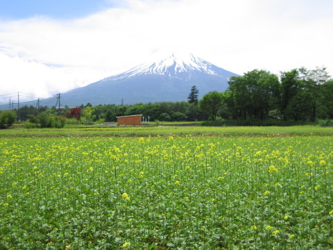 2009/06/11の写真