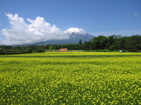 2009/06/17の写真