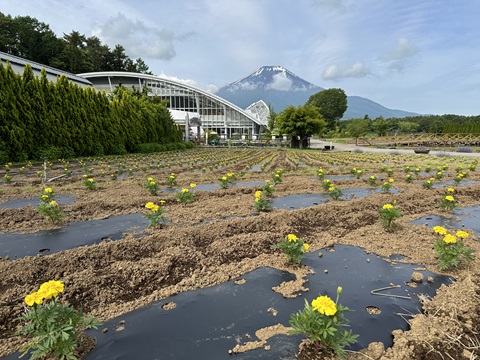 2024/06/17の写真