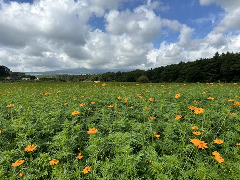 2024/08/19の写真