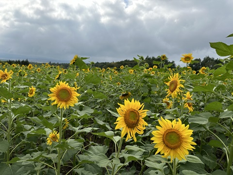 2024/09/30の写真