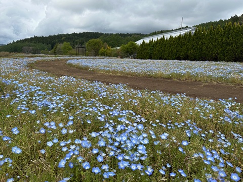 2025/05/07の写真