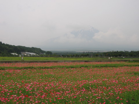 2009/07/05の写真