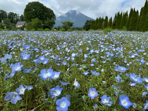 2025/06/12の写真