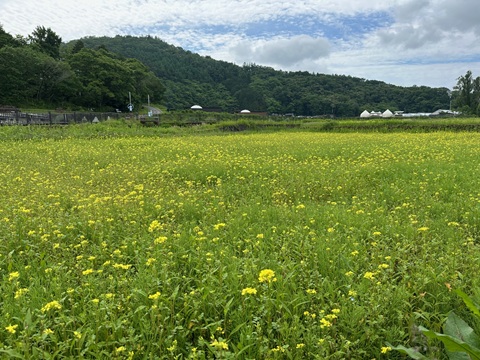 2025/06/12の写真