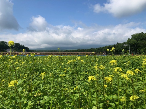 2025/07/04の写真