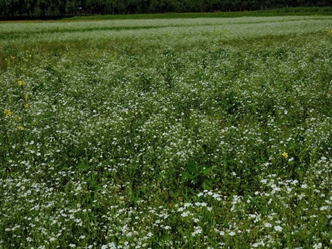 2025/07/04の写真