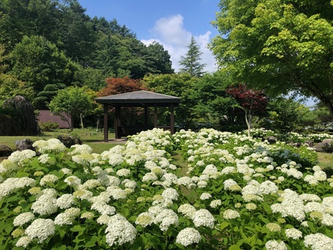 2025/07/04の写真