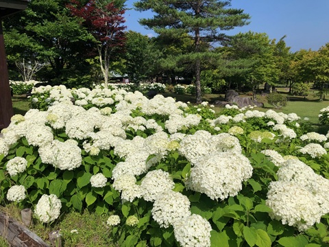 2025/07/09の写真
