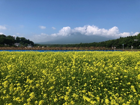 2025/07/09の写真