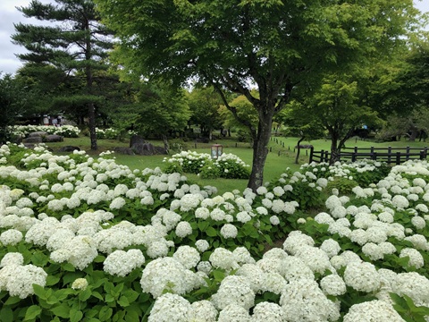 2025/07/12の写真