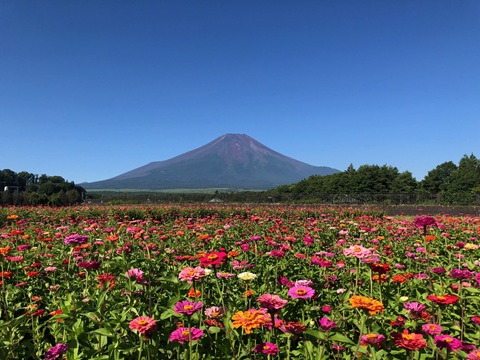 2025/07/30の写真