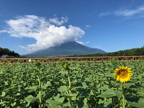 2025/08/06の写真