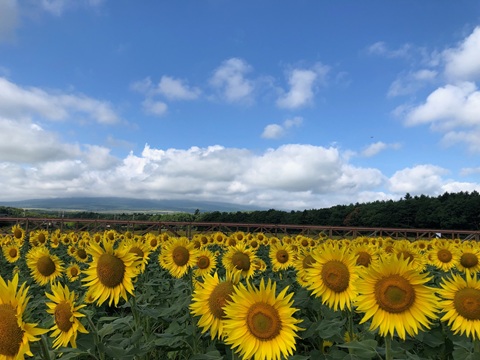 2025/08/17の写真