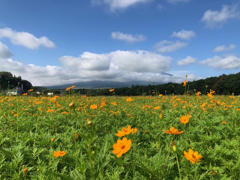 2025/08/17の写真