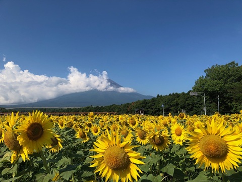 2025/08/20の写真