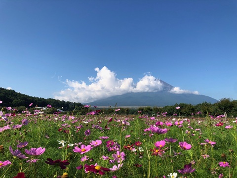 2025/08/20の写真