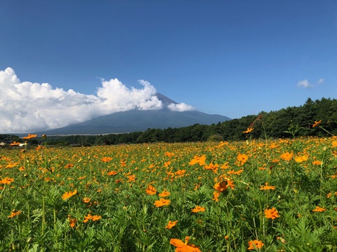 2025/08/20の写真