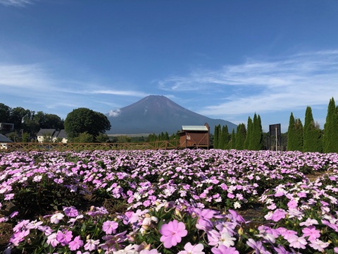 2025/08/29の写真