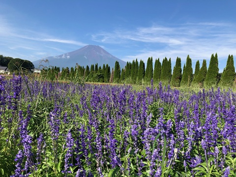 2025/08/29の写真