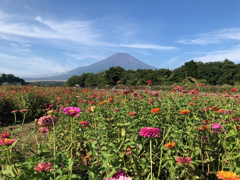 2025/08/29の写真