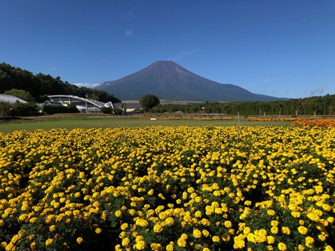 2025/09/02の写真