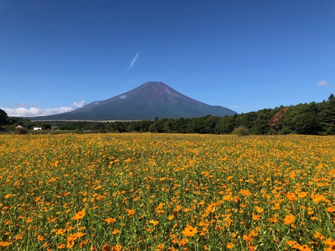 2025/09/02の写真