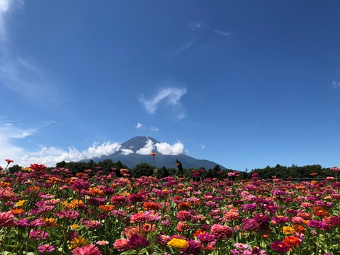 2025/09/02の写真