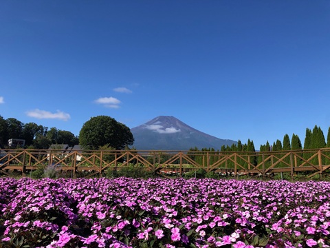 2025/09/07の写真