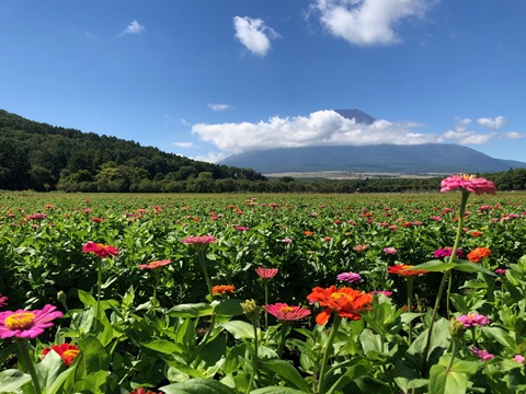 2025/09/07の写真