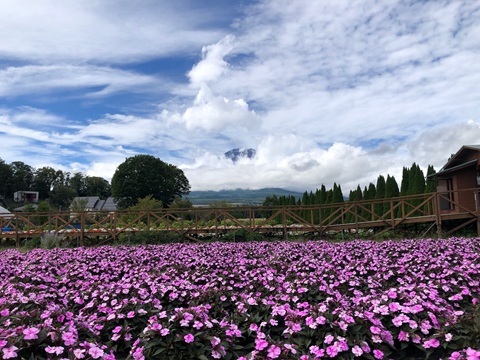 2025/09/11の写真
