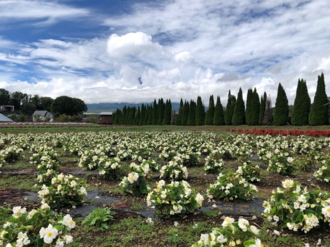 2025/09/11の写真