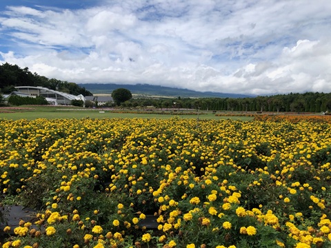2025/09/11の写真