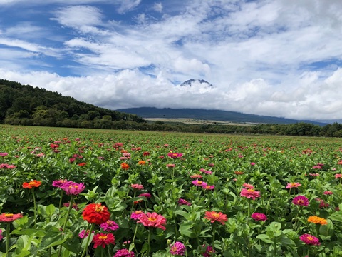 2025/09/11の写真