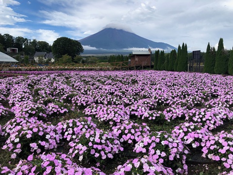 2025/09/14の写真