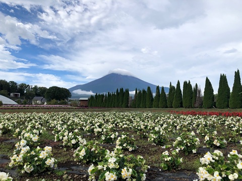 2025/09/14の写真