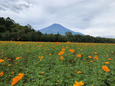 2025/09/14の写真