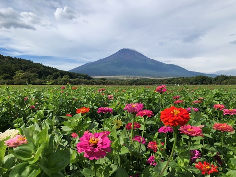 2025/09/14の写真
